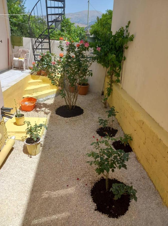 Zoe'S House In Argostoli Βίλα Εξωτερικό φωτογραφία